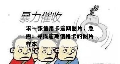 求一张信用卡逾期图片，急需：寻找逾期信用卡的图片样本