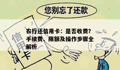 农行还信用卡：是否收费？手续费、限额及操作步骤全解析