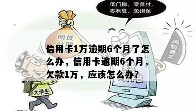 信用卡1万逾期6个月了怎么办，信用卡逾期6个月，欠款1万，应该怎么办？