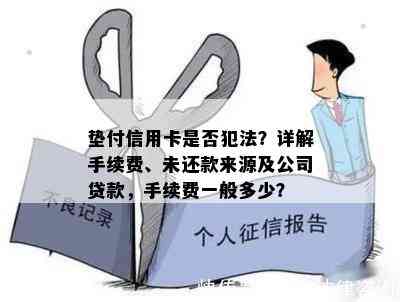 垫付信用卡是否犯法？详解手续费、未还款来源及公司贷款，手续费一般多少？