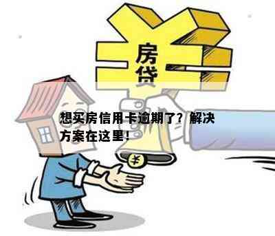 想买房信用卡逾期了？解决方案在这里！