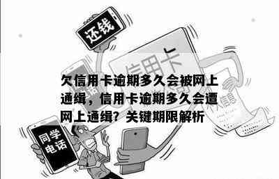 欠信用卡逾期多久会被网上通缉，信用卡逾期多久会遭网上通缉？关键期限解析