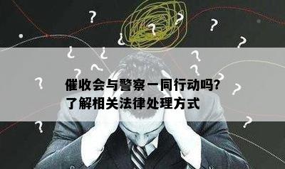 会与警察一同行动吗？了解相关法律处理方式