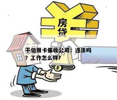 干信用卡公司：违法吗？工作怎么样？