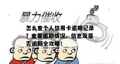 怎么查个人信用卡逾期记录？查看逾期情况、信息及是否逾期全攻略！