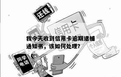 我今天收到信用卡逾期逮捕通知书，该如何处理？