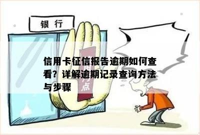 信用卡报告逾期如何查看？详解逾期记录查询方法与步骤