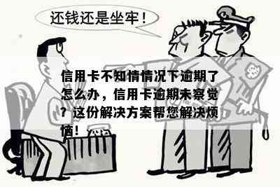 信用卡不知情情况下逾期了怎么办，信用卡逾期未察觉？这份解决方案帮您解决烦恼！