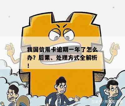 我国信用卡逾期一年了怎么办？后果、处理方式全解析！