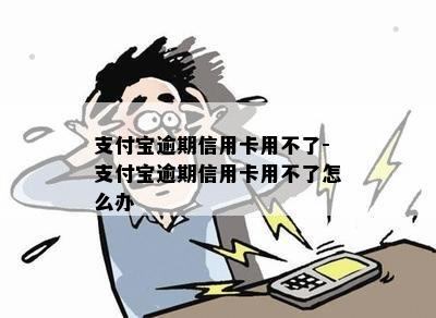 支付宝逾期信用卡用不了-支付宝逾期信用卡用不了怎么办