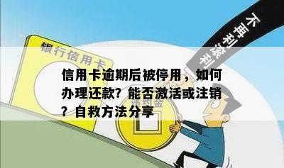 信用卡逾期后被停用，如何办理还款？能否激活或注销？自救方法分享