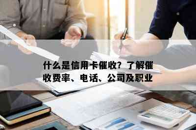 什么是信用卡？了解费率、电话、公司及职业