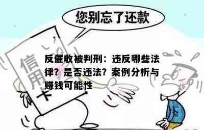 反被判刑：违反哪些法律？是否违法？案例分析与赚钱可能性