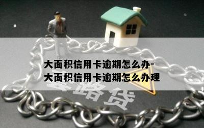 大面积信用卡逾期怎么办-大面积信用卡逾期怎么办理