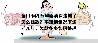 信用卡因不知道消费逾期了怎么还款？不知情情况下逾期几年、欠款多少如何处理？