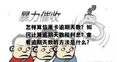 怎样算信用卡逾期天数？如何计算逾期天数和利息？查看逾期天数的方法是什么？