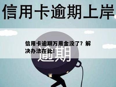 信用卡逾期万用金没了？解决办法在此！