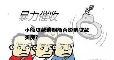 小额贷款逾期能否影响贷款买房？