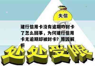 建行信用卡没有逾期咋封卡了怎么回事，为何建行信用卡无逾期却被封卡？原因解析