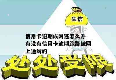 信用卡逾期成网逃怎么办-有没有信用卡逾期跑路被网上通缉的