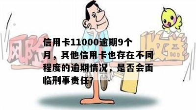 信用卡11000逾期9个月，其他信用卡也存在不同程度的逾期情况，是否会面临刑事责任？