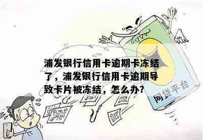 浦发银行信用卡逾期卡冻结了，浦发银行信用卡逾期导致卡片被冻结，怎么办？