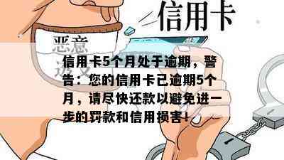 信用卡5个月处于逾期，警告：您的信用卡已逾期5个月，请尽快还款以避免进一步的罚款和信用损害！