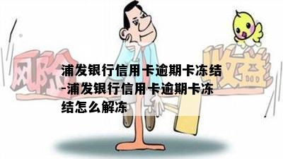 浦发银行信用卡逾期卡冻结-浦发银行信用卡逾期卡冻结怎么解冻