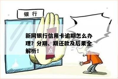 新网银行信用卡逾期怎么办理？分期、期还款及后果全解析！