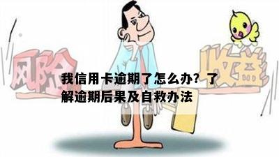 我信用卡逾期了怎么办？了解逾期后果及自救办法