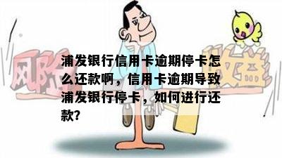 浦发银行信用卡逾期停卡怎么还款啊，信用卡逾期导致浦发银行停卡，如何进行还款？