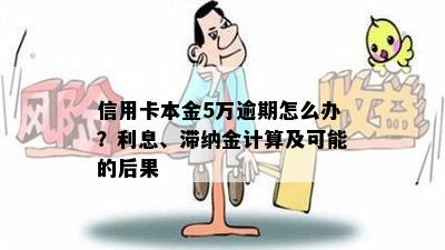 信用卡本金5万逾期怎么办？利息、滞纳金计算及可能的后果