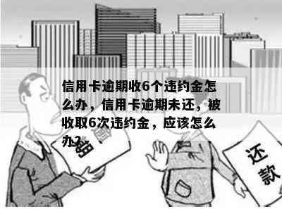 信用卡逾期收6个违约金怎么办，信用卡逾期未还，被收取6次违约金，应该怎么办？