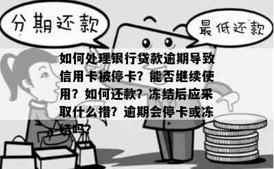 如何处理银行贷款逾期导致信用卡被停卡？能否继续使用？如何还款？冻结后应采取什么措？逾期会停卡或冻结吗？