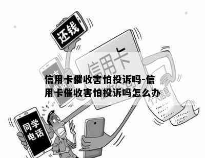 信用卡害怕投诉吗-信用卡害怕投诉吗怎么办