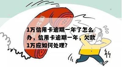 1万信用卡逾期一年了怎么办，信用卡逾期一年，欠款1万应如何处理？