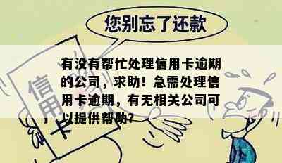 有没有帮忙处理信用卡逾期的公司，求助！急需处理信用卡逾期，有无相关公司可以提供帮助？