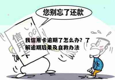 我信用卡逾期了怎么办？了解逾期后果及自救办法