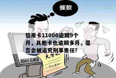 信用卡11000逾期9个月，其他卡也逾期多月，是否会被追究刑事责任？