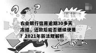 农业银行信用逾期30多天冻结，还款后能否继续使用？2021年新法规解析