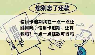 信用卡逾期我在一点一点还能用吗，信用卡逾期，还有救吗？一点一点还款可行吗？