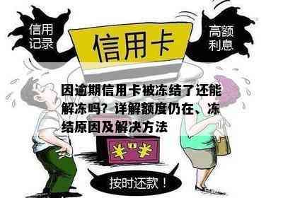 因逾期信用卡被冻结了还能解冻吗？详解额度仍在、冻结原因及解决方法