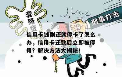 信用卡钱刚还就停卡了怎么办，信用卡还款后立即被停用？解决方法大揭秘！