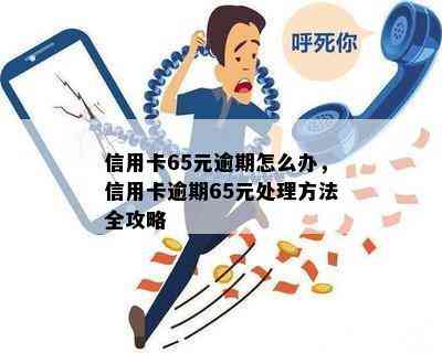 信用卡65元逾期怎么办，信用卡逾期65元处理方法全攻略