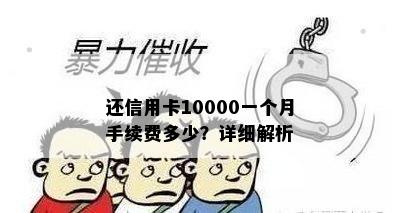 还信用卡10000一个月手续费多少？详细解析