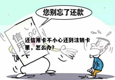 还信用卡不小心还到注销卡里，怎么办？