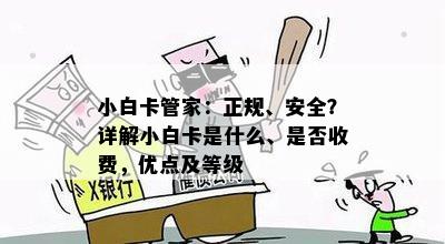 小白卡管家：正规、安全？详解小白卡是什么、是否收费，优点及等级