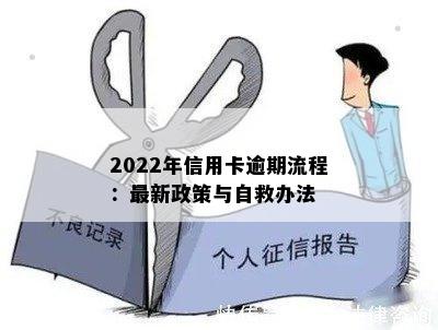 2022年信用卡逾期流程：最新政策与自救办法