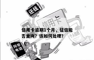 信用卡逾期1个月，能否查询？该如何处理？