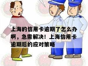 上海的信用卡逾期了怎么办啊，急需解决！上海信用卡逾期后的应对策略